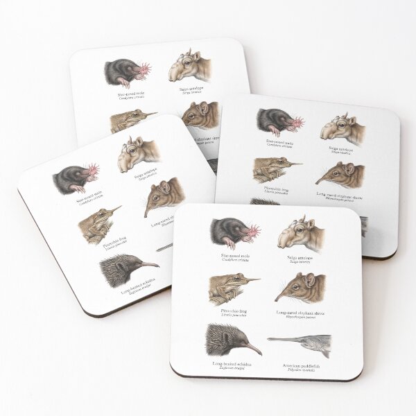 Item preview, Unusual Animal Snouts designed and sold by ArunDandiboina.