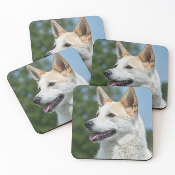 Item preview, Canaan Dog Portrait designed and sold by Elisabeth Lucas.
