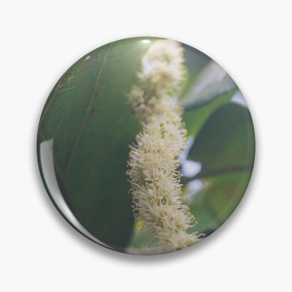 Item preview, Indian Almond tree designed and sold by ROSE ANN BANILAR.