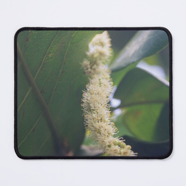 Item preview, Indian Almond tree designed and sold by ROSE ANN BANILAR.