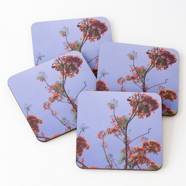 Item preview, Delonix regia tree designed and sold by ROSE ANN BANILAR.