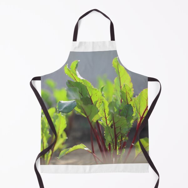 Item preview, Red Beet Leaves Growing in Sunlight designed and sold by diaaphotography.