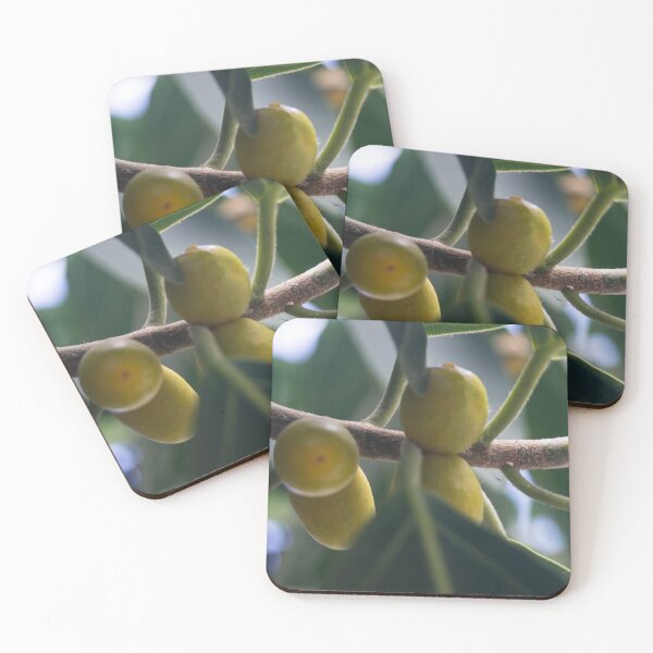 Item preview, Fig Tree_02 designed and sold by ROSE ANN BANILAR.