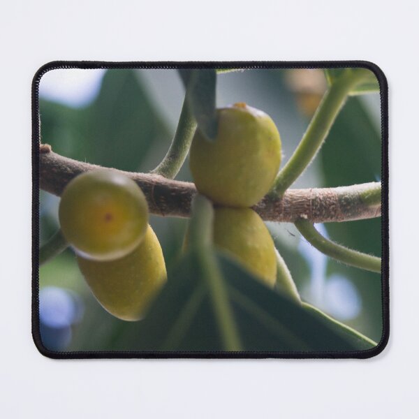 Item preview, Fig Tree_02 designed and sold by ROSE ANN BANILAR.