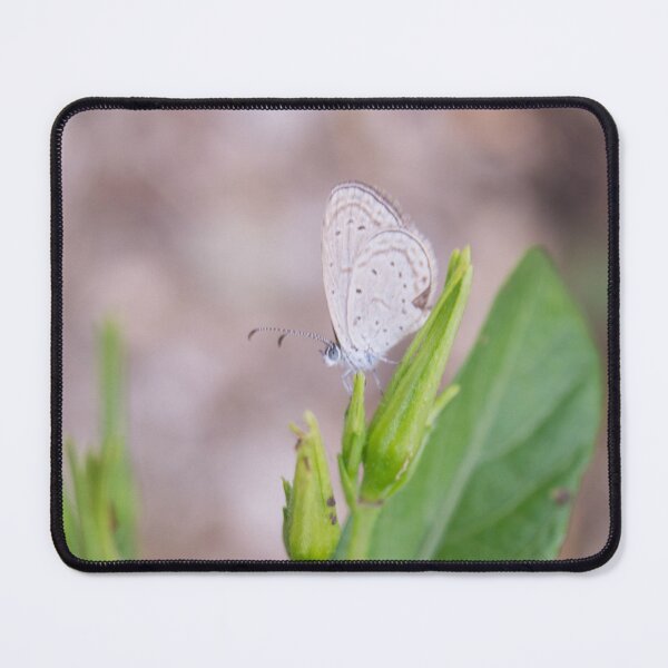 Item preview, grass blue butterfly_03 designed and sold by ROSE ANN BANILAR.