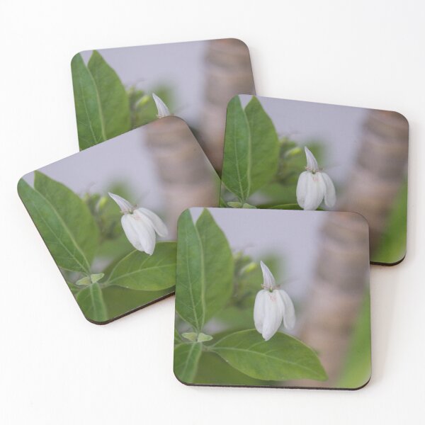 Item preview, Rhinacanthus nasutus designed and sold by ROSE ANN BANILAR.