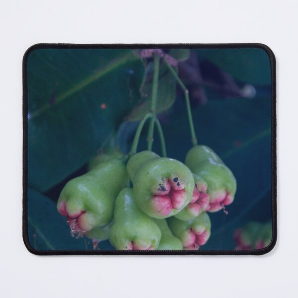Item preview, Java apples designed and sold by ROSE ANN BANILAR.
