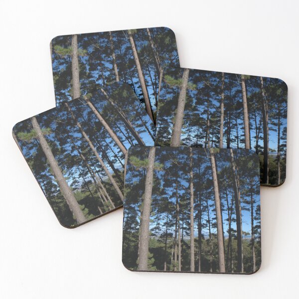 Item preview, Sunlight Through Tall Pine Forest designed and sold by georgeph.