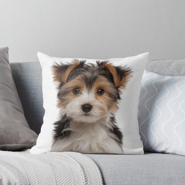 Item preview, Adorable Biewer Terrier Pup for Cute Biewer puppy lovers designed and sold by LazyOwlStore.