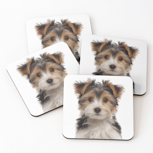 Item preview, Adorable Biewer Terrier Pup for Cute Biewer puppy lovers designed and sold by LazyOwlStore.