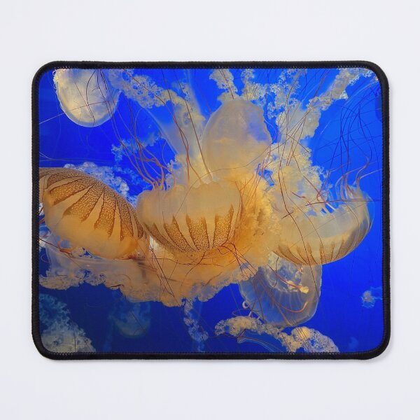 Item preview, Jellyfish designed and sold by David Mordini.