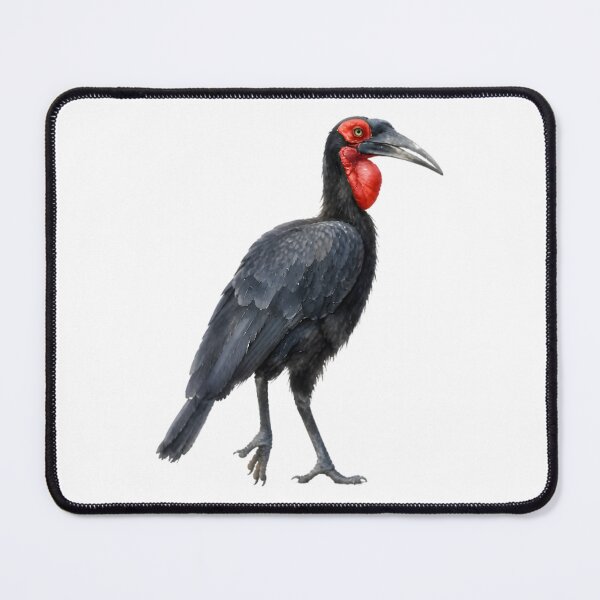 Item preview, Southern Ground Hornbill designed and sold by HOMETOWN86.