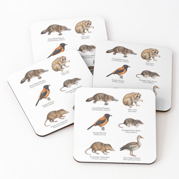 Item preview, Venomous and Toxic Animals designed and sold by ArunDandiboina.
