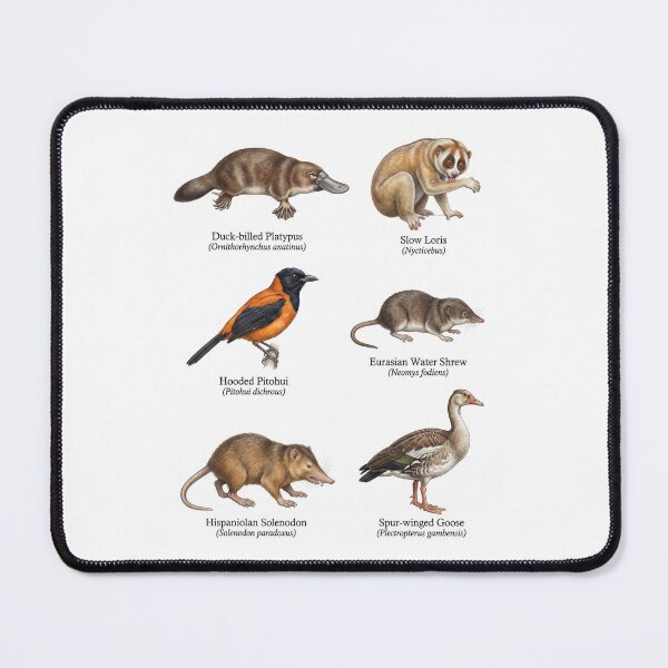 Item preview, Venomous and Toxic Animals designed and sold by ArunDandiboina.