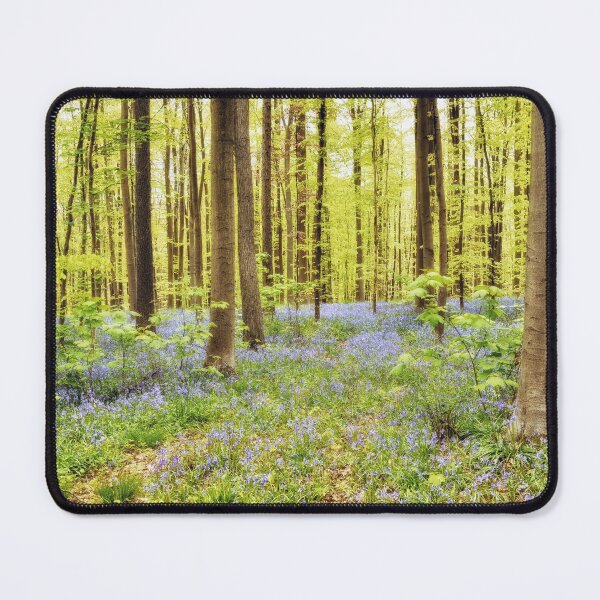 Item preview, Sunny blue forest designed and sold by AsahiNoAme.
