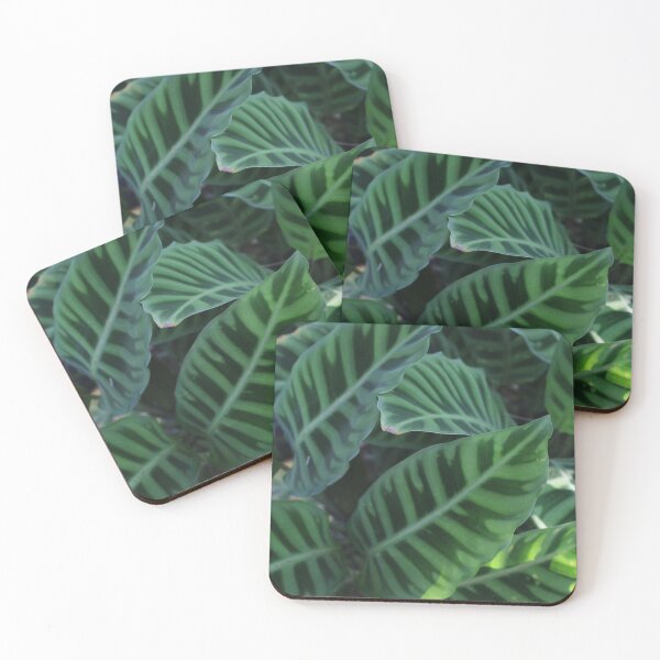 Item preview, Tropical leaves - Nature photography  designed and sold by Cha-s-lens.