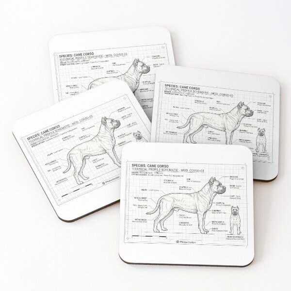 Item preview, Cane Corso Anatomy & Breed Standard Blueprint designed and sold by Pfotenfaden.
