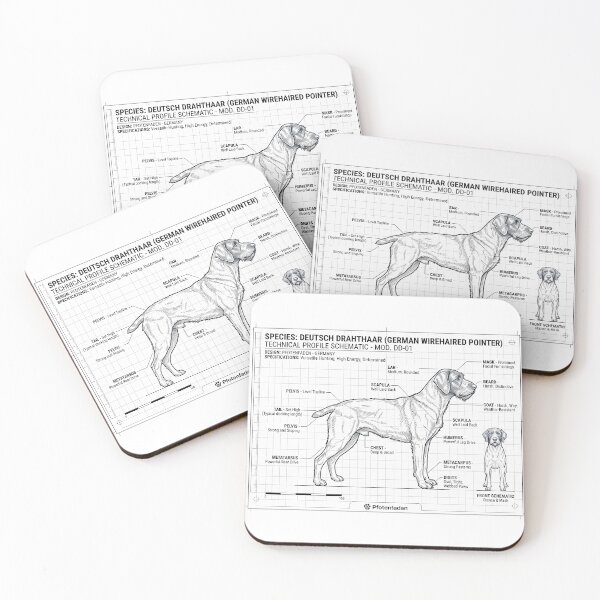 Item preview, German Wirehaired Pointer Blueprint – Pointing Dog Anatomy designed and sold by Pfotenfaden.