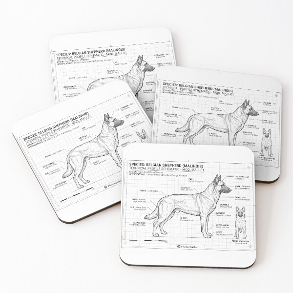 Item preview, Malinois Blueprint – Belgian Shepherd Anatomy & Standard designed and sold by Pfotenfaden.