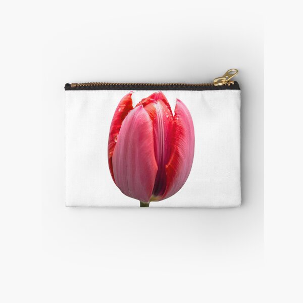Item preview, Radiant Pink Tulip in Gentle Bloom designed and sold by JAMESAMORN.