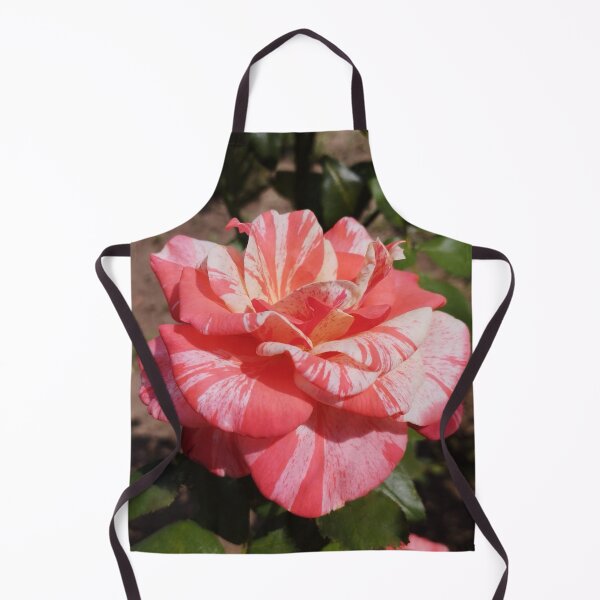 Item preview, Gorgeous Neil Diamond Rose Close-Up designed and sold by inspiration3.