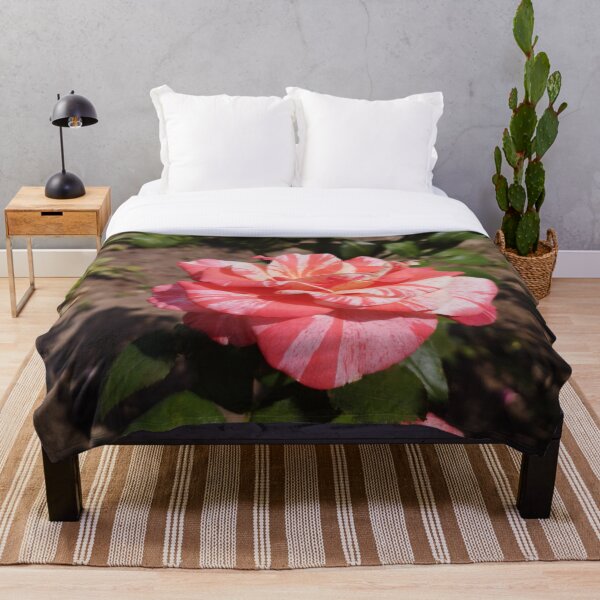 Item preview, Gorgeous Neil Diamond Rose Close-Up designed and sold by inspiration3.