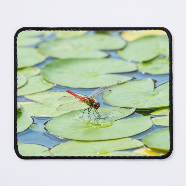 Item preview, Day at the pond designed and sold by T's&such.