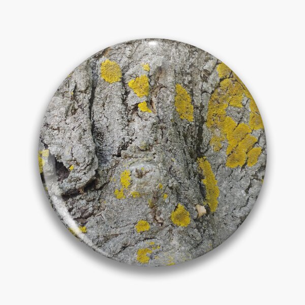 Item preview, Old Walnut Tree Bark  designed and sold by inspiration3.