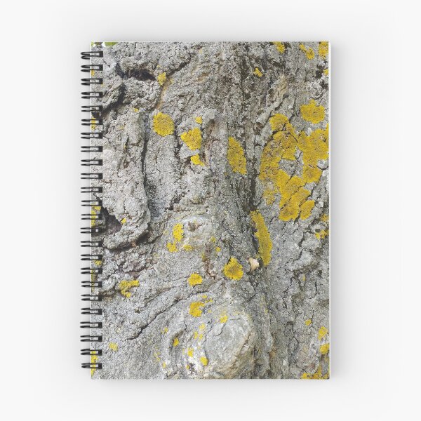 Item preview, Old Walnut Tree Bark  designed and sold by inspiration3.