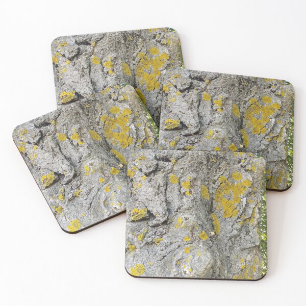 Item preview, Old Walnut Tree Bark  designed and sold by inspiration3.