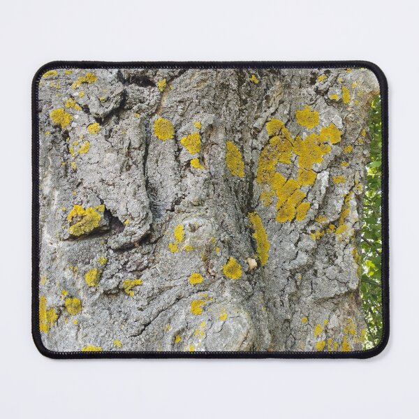 Item preview, Old Walnut Tree Bark  designed and sold by inspiration3.