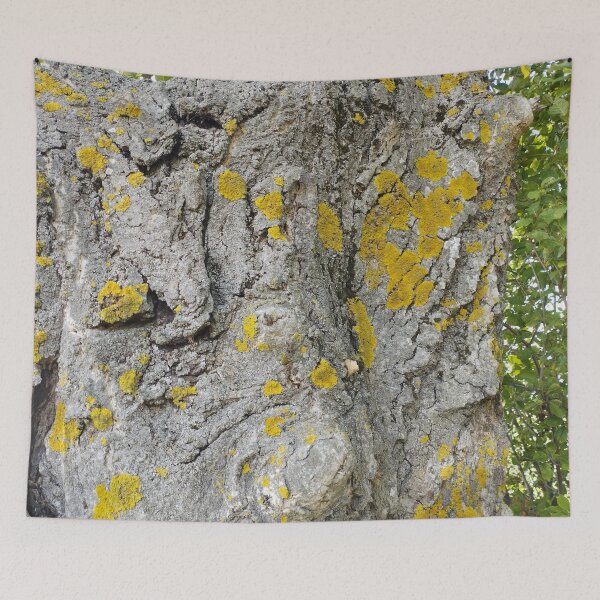 Item preview, Old Walnut Tree Bark  designed and sold by inspiration3.