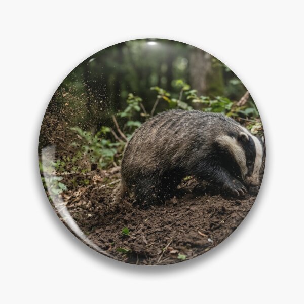 Item preview, Badger digging with thrown earth designed and sold by Malisa345.