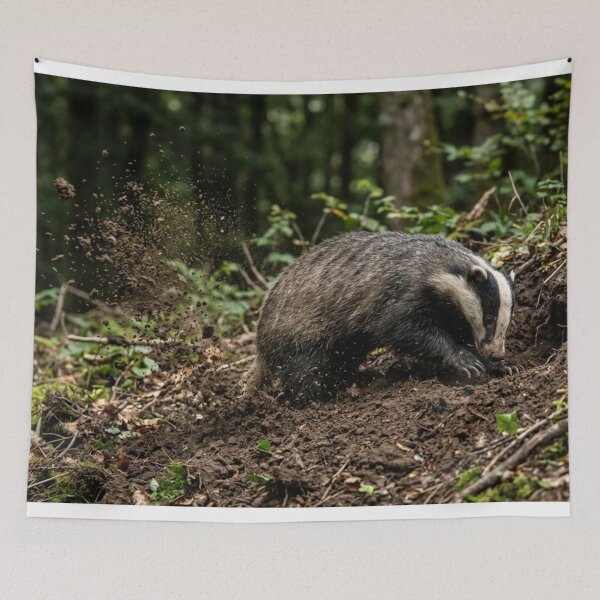 Item preview, Badger digging with thrown earth designed and sold by Malisa345.