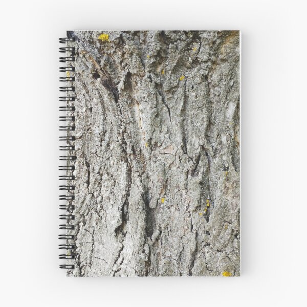 Item preview, Old Walnut Tree Bark  designed and sold by inspiration3.