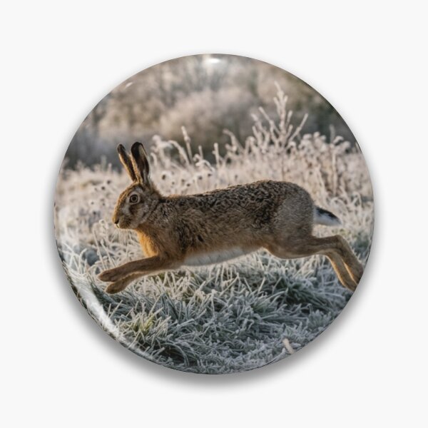 Item preview, Hare bounding across a frosty meadow designed and sold by Malisa345.