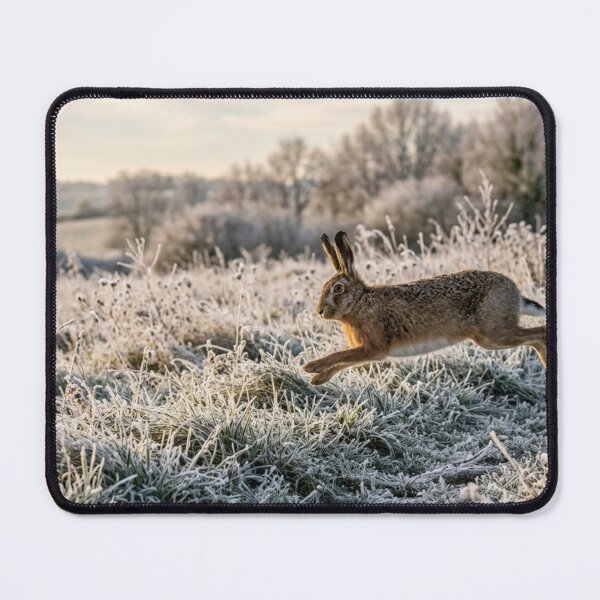 Item preview, Hare bounding across a frosty meadow designed and sold by Malisa345.