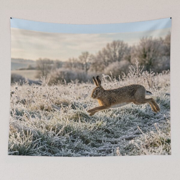Item preview, Hare bounding across a frosty meadow designed and sold by Malisa345.