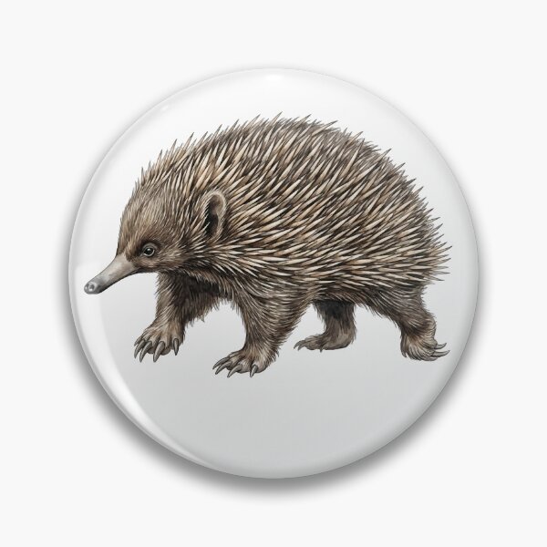 Item preview, Short-Beaked Echidna Watercolor Illustration designed and sold by Jaruart.