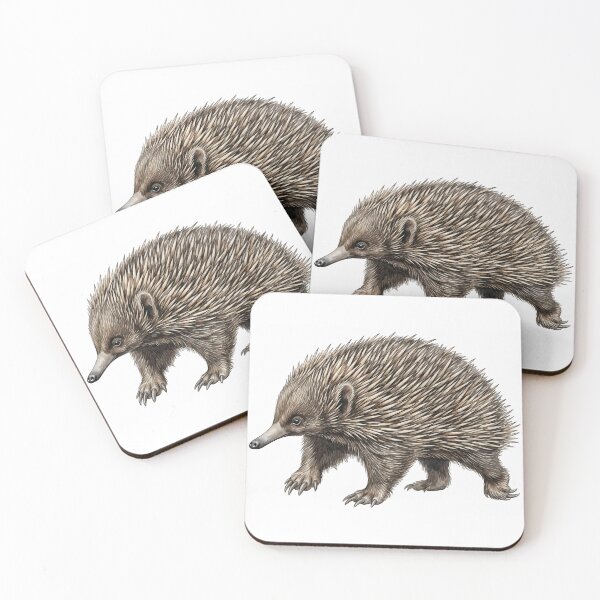 Item preview, Short-Beaked Echidna Watercolor Illustration designed and sold by Jaruart.