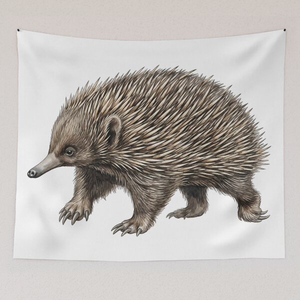 Item preview, Short-Beaked Echidna Watercolor Illustration designed and sold by Jaruart.
