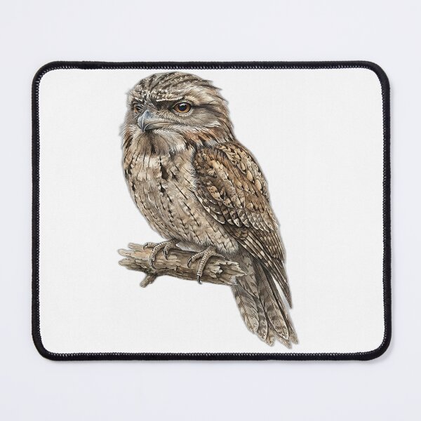 Item preview, Tawny Frogmouth Watercolor Illustration designed and sold by Jaruart.