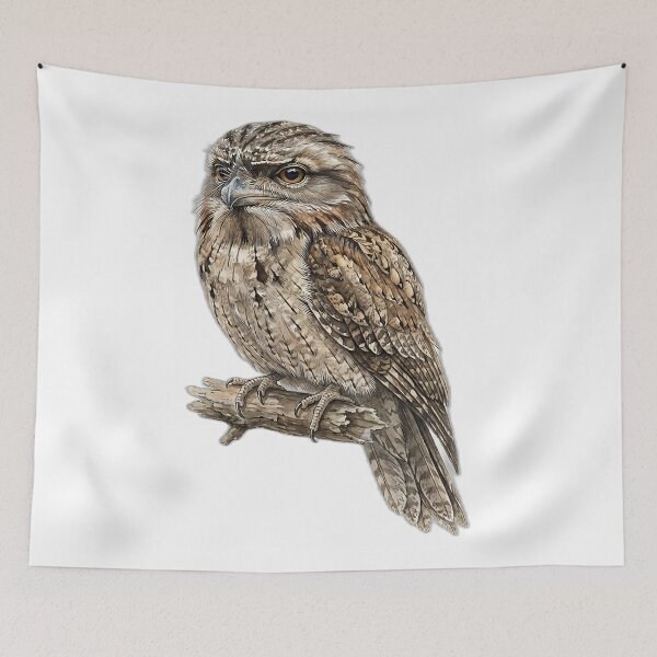 Item preview, Tawny Frogmouth Watercolor Illustration designed and sold by Jaruart.