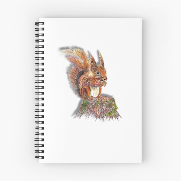 Item preview, Red Squirrel Fine Art Print, Hand-Drawn Wildlife Illustration, Woodland Wall Art designed and sold by Vesivariart.