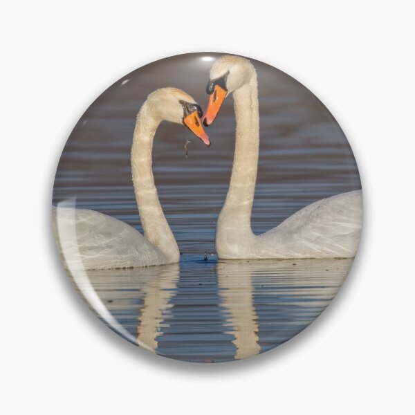 Item preview, Mute Swam Pair designed and sold by Gerard Fornarotto.