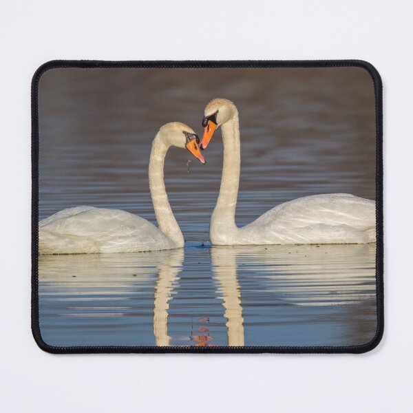 Item preview, Mute Swam Pair designed and sold by Gerard Fornarotto.