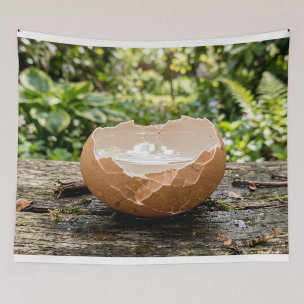 Item preview, Broken eggshell filled with water designed and sold by Malisa345.