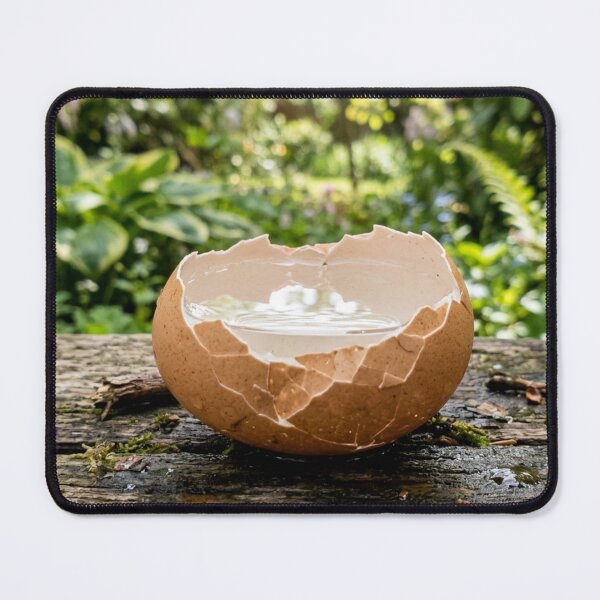 Item preview, Broken eggshell filled with water designed and sold by Malisa345.