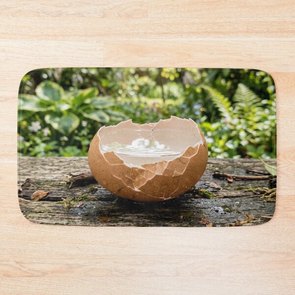 Item preview, Broken eggshell filled with water designed and sold by Malisa345.