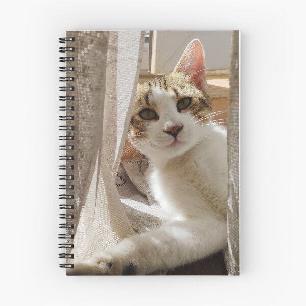 Item preview, Cute Kitten Peeking Through Curtains designed and sold by inspiration3.